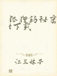 狐狸的秘密txt下载