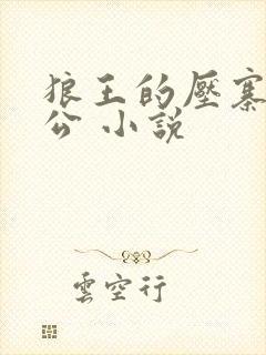 狼王的压寨小相公 小说