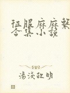 征服麻麻系列大合集小说