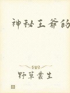 神秘王爷的逃妃