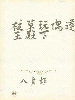 校草玩偶遵命公主殿下