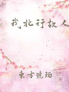 我北行故人南去