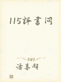 115评书网
