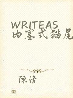WRITEAS内塞式猫尾