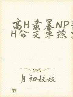 高H黄暴NP辣H公交车检票员