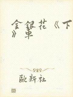 金银花《下厨房》车