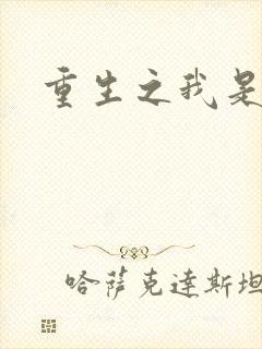 重生之我是战机