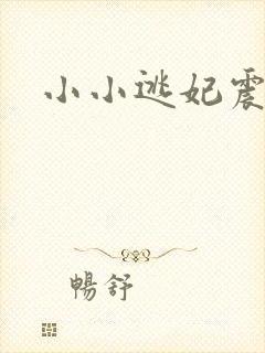 小小逃妃震江山