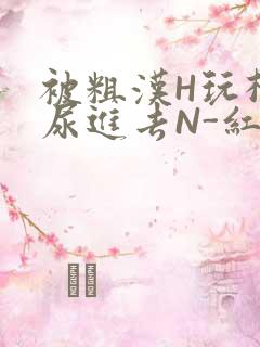 被粗汉H玩松了尿进去N-红-Q