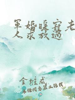 军婚暖宠老公大人求放过