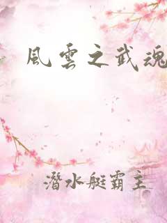 风云之武魂