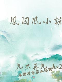 凤囚凰小说