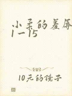 小柔的羞辱日记1一15