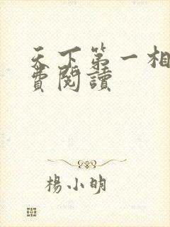 天下第一相书免费阅读