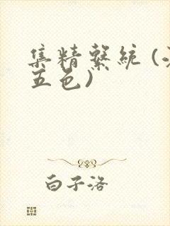 集精系统 (江五色)