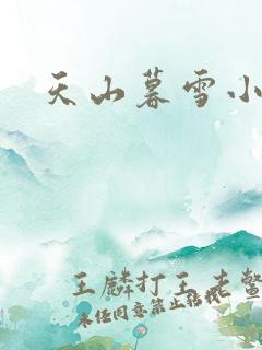 天山暮雪小说