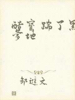 酷宝 踹了黑道爹地