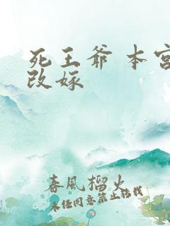 死王爷 本宫已改嫁