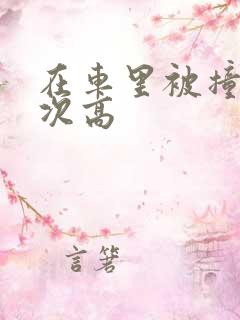 在车里被撞了八次高