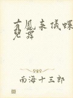 有凤来仪蝶儿蝶儿舞