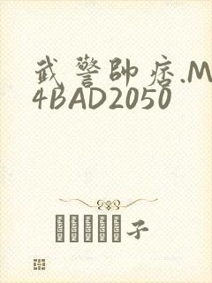 武警帅痞.MP4BAD2050