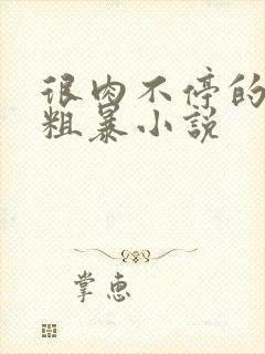 很肉不停的做很粗暴小说