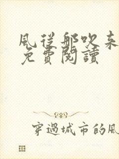 风从那吹来小说免费阅读