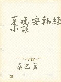 夏晚安韩经年的小说