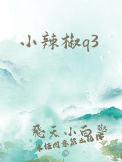 小辣椒q3