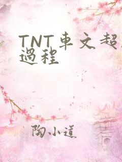 TNT车文超细过程