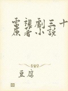 电视剧三十而已原著小说