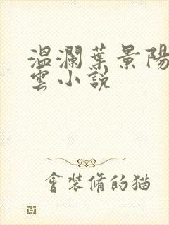 温澜叶景阳温云云小说