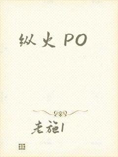 纵火 PO