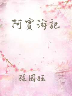 阿宾游记