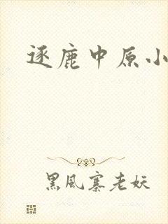 逐鹿中原小说