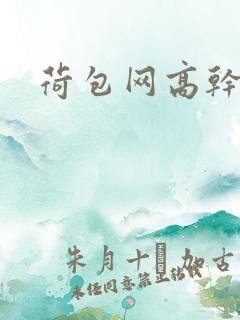荷包网高干文