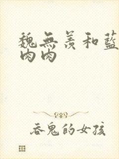 魏无羡和蓝忘机肉肉