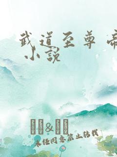 武道至尊 帝临 小说