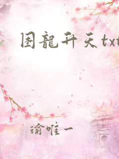 困龙升天txt