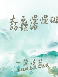 大龟慢慢挺进我的体内