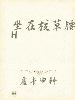 坐在校草腰上动H