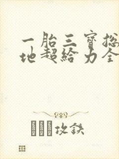 一胎三宝总裁爹地超给力全文免费阅读