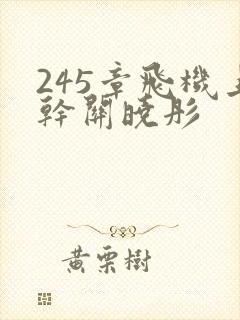 245章飞机上干关晓彤