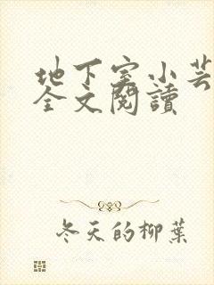 地下室小芸父亲全文阅读
