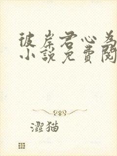 彼岸君心为我倾小说免费阅读