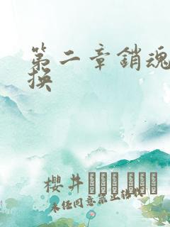 第二章销魂的交换