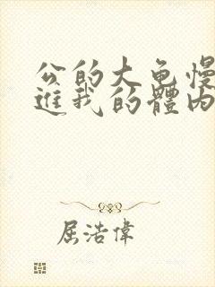 公的大龟慢慢挺进我的体内