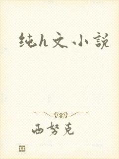 纯h文小说