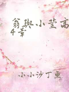 翁与小莹高潮24章