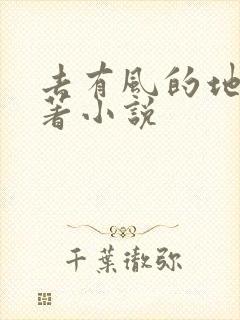 去有风的地方原著小说